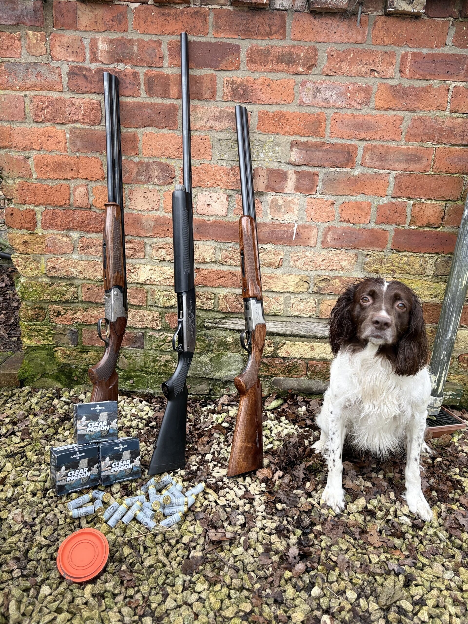 Clay Shoot & Family Fun Day 1 IMG 1970 scaled