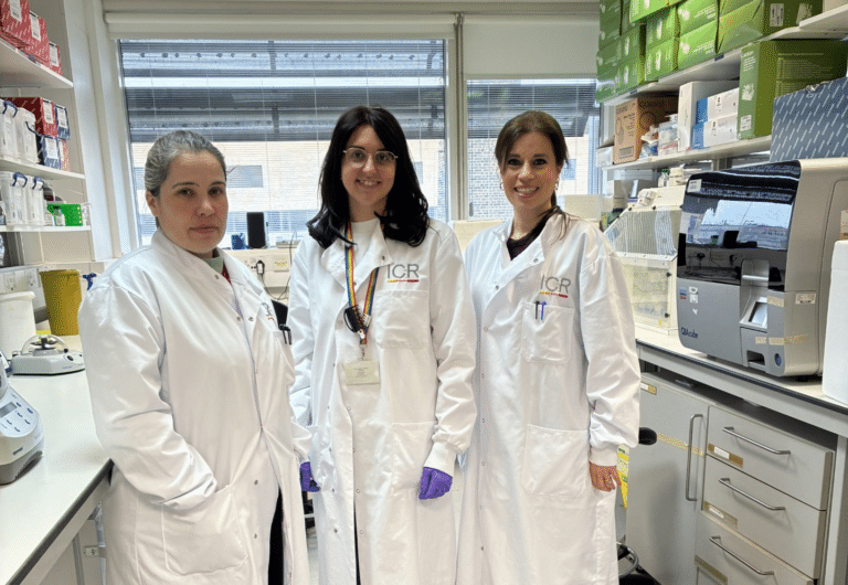 Exploring ways to 'heat up' the tumour immune environment in paediatric diffuse high-grade glioma